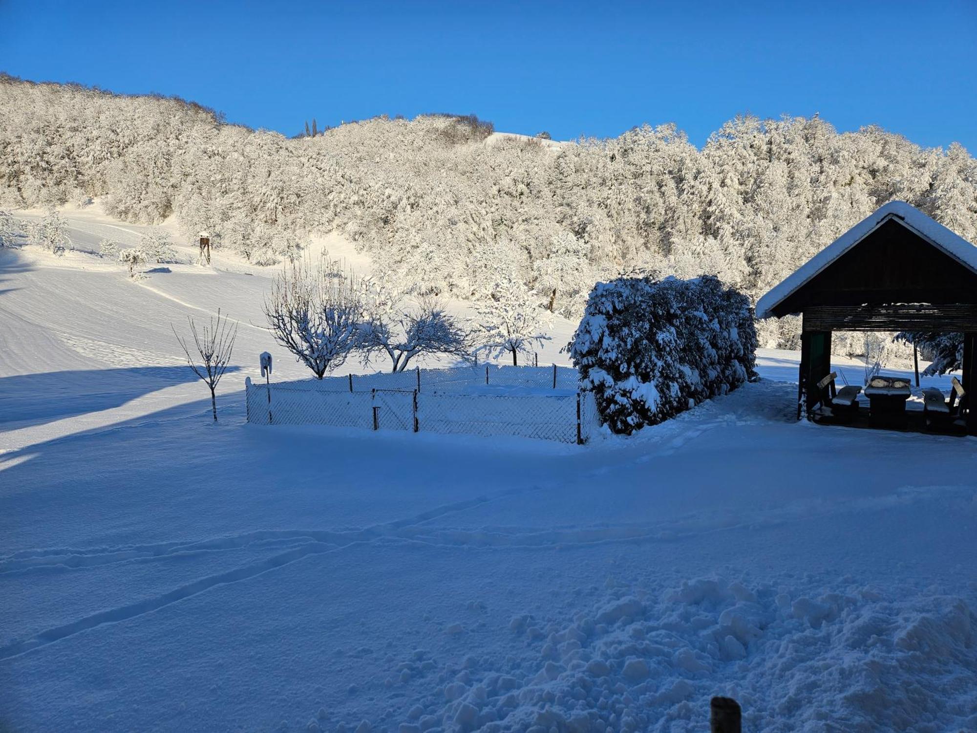 Francek House Podcetrtek Villa Buce ภายนอก รูปภาพ